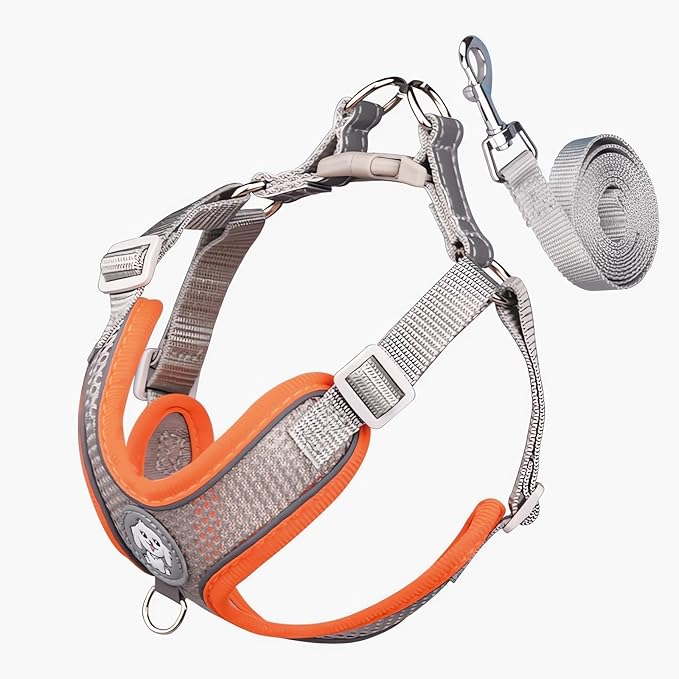 Dog Harness with Leash Set, No Pull Adjustable Reflective Step-in Puppy Harness with Thickened Padded Vest for Extra-Small/Small Medium Large Dogs and Cats (Grey, L)
