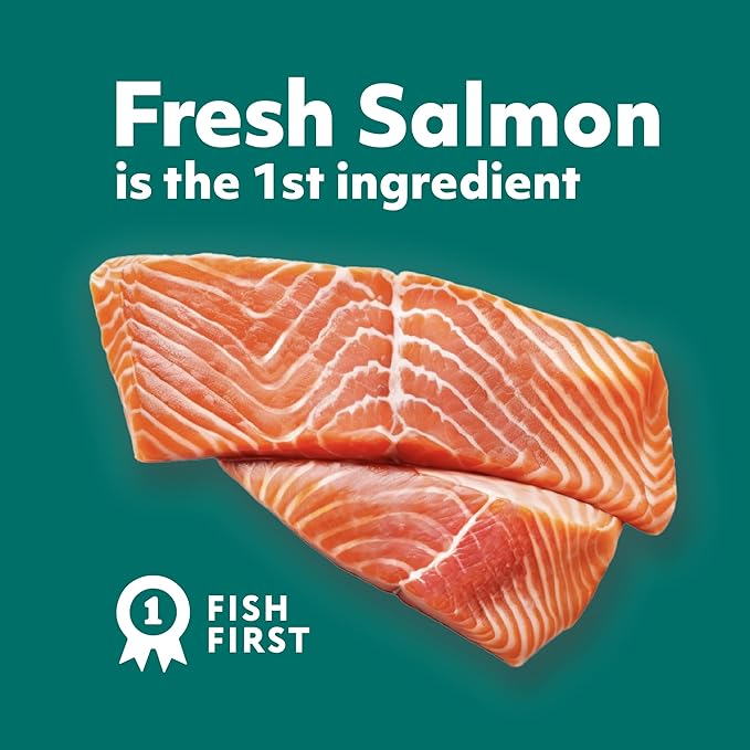 Optimeal Toy Breed Dry Dog Food  Small Kibble for Small Dogs, High Protein, Natural Ingredients, Skin & Digestive Support, Premium European Nutrition  Salmon & Brown Rice, 3.3 lbs