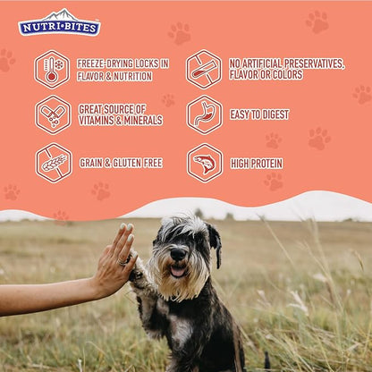 NutriBites Freeze Dried Salmon Dog & Cat Treats | Healthy Pet Training Treats or Food Topper | All Natural, 1 Single Animal Protein, High Protein | Premium Bulk Value Pack, 14 oz