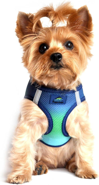 Doggie Design American River Dog Harness Ombre Collection - Northern Lights Large