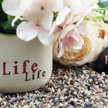 100% Natural Sand, Multi-Purpose Mixed Silica Sand for Fire Pits, Aquariums, and Landscaping, 5LB Large