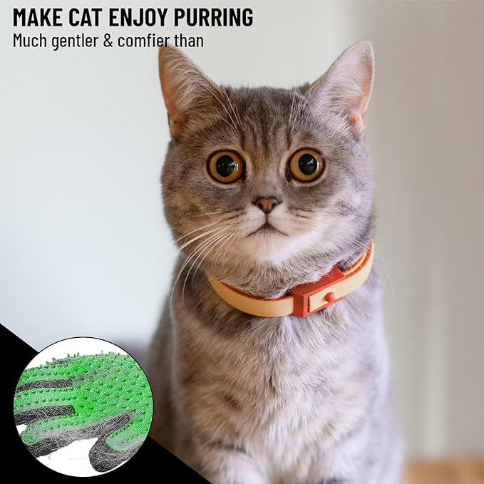 Complete Professional Pet Grooming Kit with Pet Hair Removal Tool Brush Gloves, Self Cleaning Slicker Brush, and Pro Grooming Dog Brush Deshedder Comb to Reduce Shedding (Green)