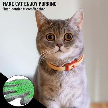 Complete Professional Pet Grooming Kit with Pet Hair Removal Tool Brush Gloves, Self Cleaning Slicker Brush, and Pro Grooming Dog Brush Deshedder Comb to Reduce Shedding (Green)