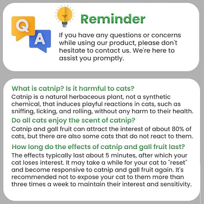 6 Pcs Catnip Ball Toys with Rubbing Shell, Lickable Roller Catnip Toys for Cats Chew, Edible and Refillable Kitten Toys, Teeth Cleaning Dental Indoor Cat Treats Toys, 3 Shells 6 Balls