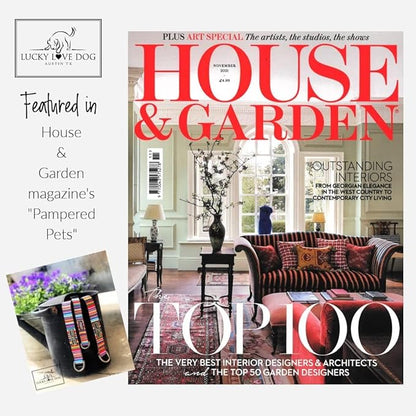 Lucky Love Dog Martingale Collar and Leash Set, Premium No Slip Collar for Male Dogs, Comfortable & Soft Martingale Dog Collars, Great for Whippets, Greyhounds, and More (Murphy, Small - Combo)