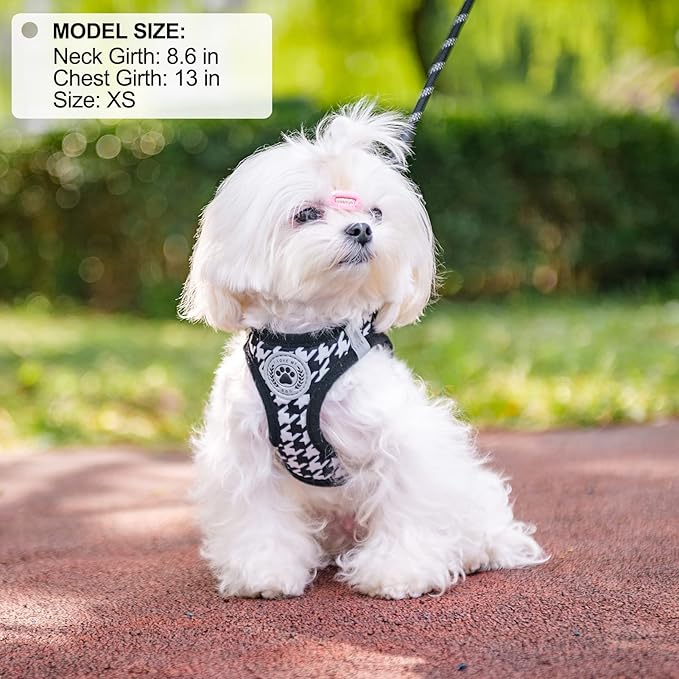 BEAUTYZOO Small Dog Harness and Leash Set,Step in No Chock No Pull Soft Mesh Dog Harnesses Reflective for Extra-Small/Small Medium Puppy Dogs and Cats, Plaid Dog Vest Harness for XS S Pets, Black S