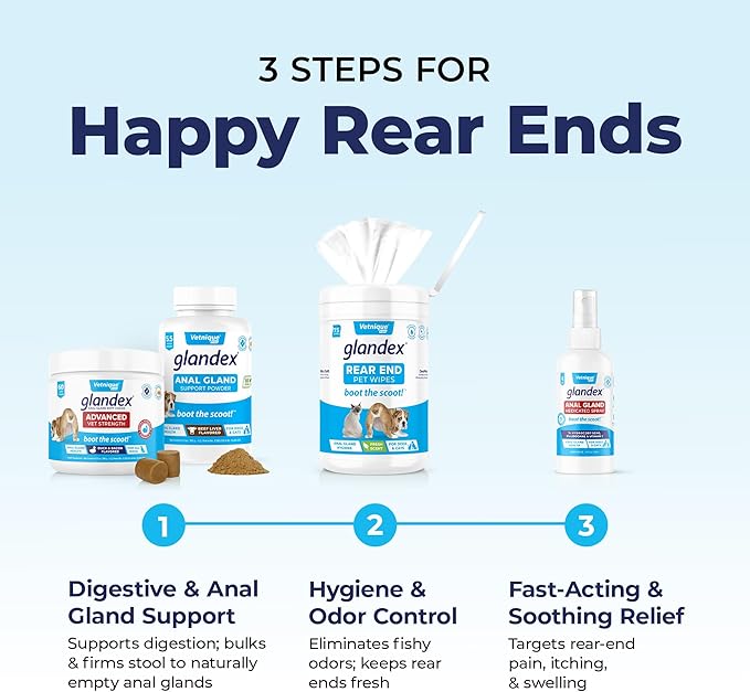 Glandex Anal Gland Soft Chew Treats with Pumpkin for Dogs Digestive Enzymes, Probiotics Fiber Supplement for Dogs Boot The Scoot (Pork Liver Chews, 30ct)