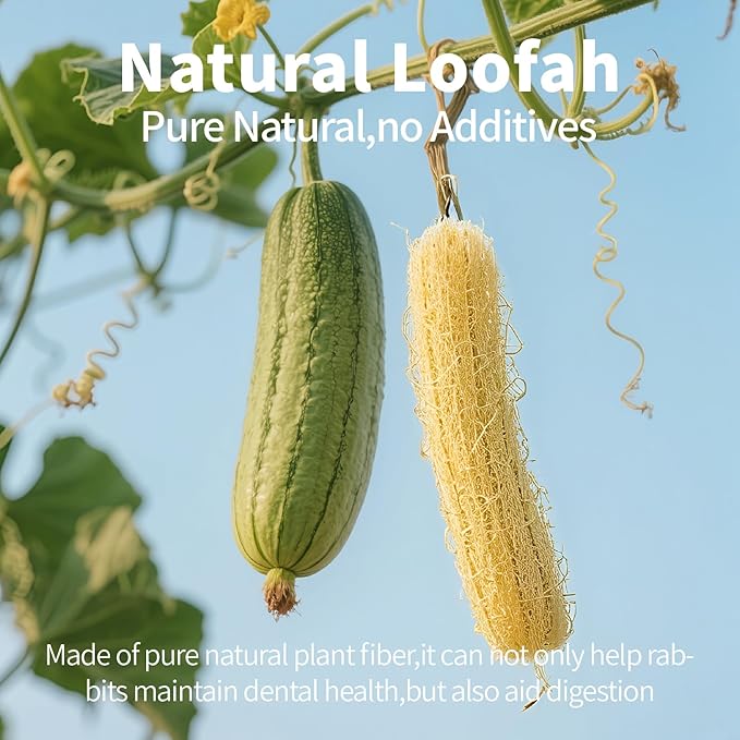 3 PCS Rabbit Chew Toys,100% Natural Loofah Without Additives,Bunny Chew Toys for Teeth,Fiber-Rich Rabbit Treats for Bunny Chinchilla Dogs