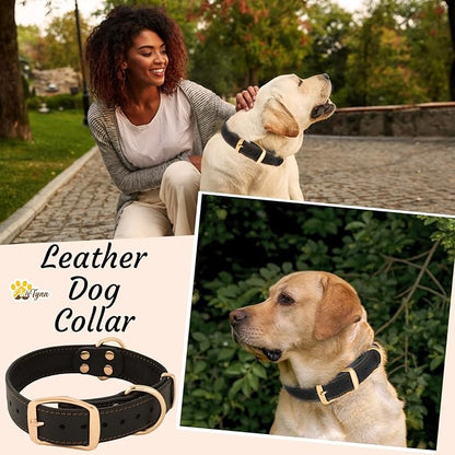 ADITYNA Heavy Duty Leather Dog Collar for Medium Dogs - Soft and Strong Leather Dog Collar for Medium Dog Breeds (Black - Gold Colored Buckle, Medium: Fit 13" - 20" Neck)