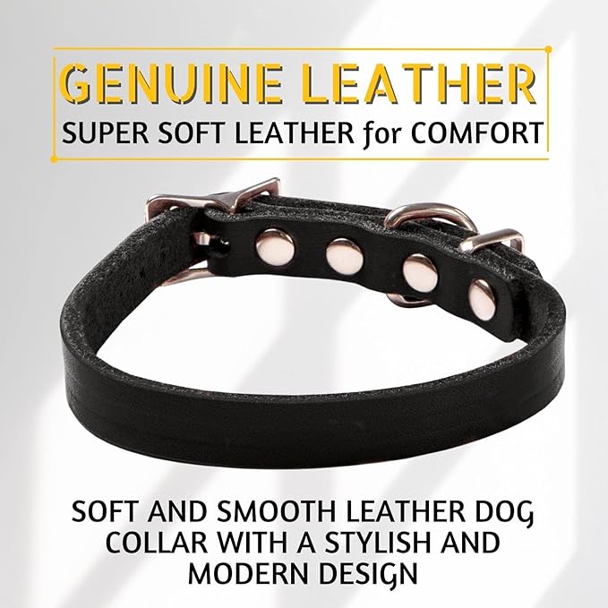 Adityna - Leather Dog Collar for Extra-Small Dogs and Puppies - Classic Style, Soft and Strong, Heavy Duty Black Leather Dog Collars for XSmall Dogs (XS - Neck: 10-13 inches, Black)