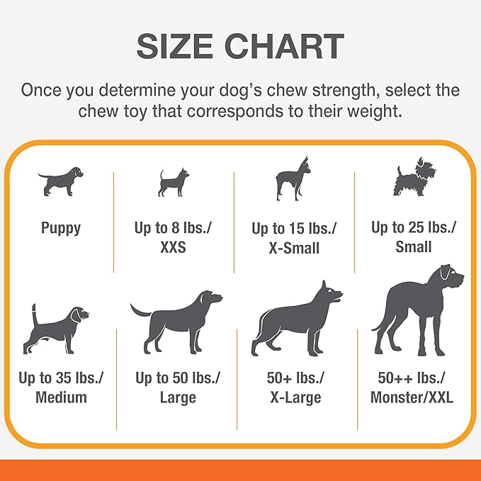 Nylabone Power Chew Textured Ring Dog Toy, Dog Chew Toys for Aggressive Chewers, Winter Green Flavor, Small/Regular - Up to 25 lbs. (1 Count)