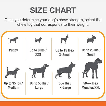 Nylabone Power Chew Textured Ring Dog Toy, Dog Chew Toys for Aggressive Chewers, Winter Green Flavor, Small/Regular - Up to 25 lbs. (1 Count)