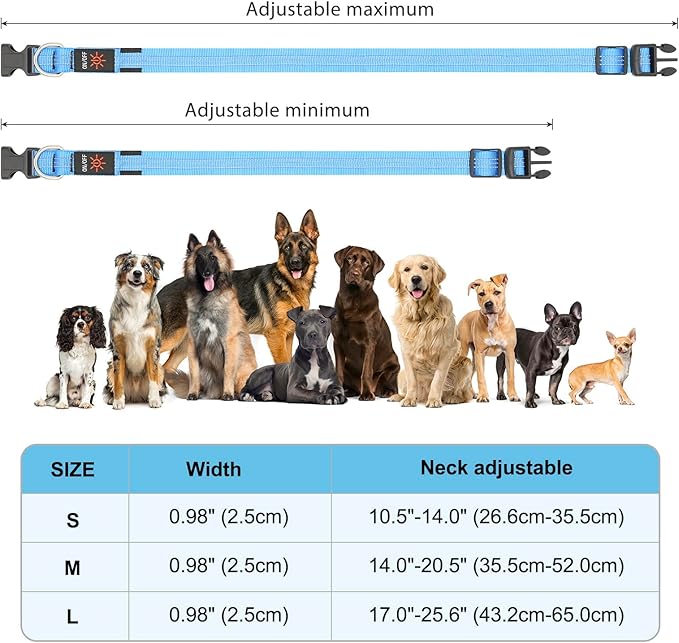 BSEEN Light Up Dog Collars - Glowing LED Dog Collar, Reflective Puppy Collar, Adjustable Lighted Dog Collar, Rechargeable Pet Collar for Night Walking (Blue-II, Small)