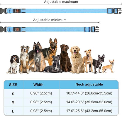BSEEN Light Up Dog Collars - Glowing LED Dog Collar, Reflective Puppy Collar, Adjustable Lighted Dog Collar, Rechargeable Pet Collar for Night Walking (Blue-II, Small)