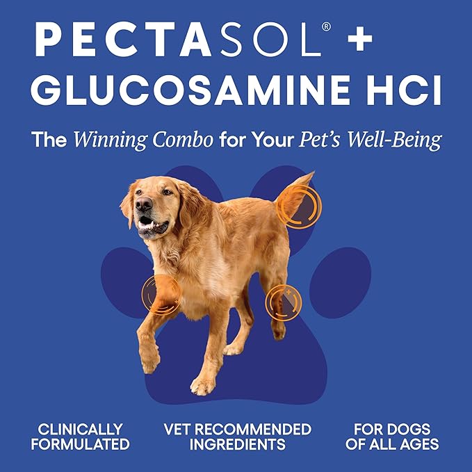 ecoNugenics PectaPaws Chewable Dog Supplements – Beef Flavor, 90 Count – PectaSol Modified Citrus Pectin + Glucosamine HCI for Dogs of All Ages, Supports Mobility, Joints, Immune Function, Pain Relief