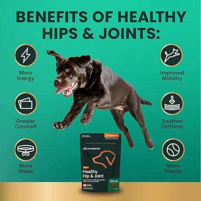 VetriScience Healthy Hip & Joint Chews, GlycoFlex Glucosamine and Green-Lipped Mussel Joint Support Supplement for Dogs, Promote Mobility and Protect Joints, Chicken, 120 Count
