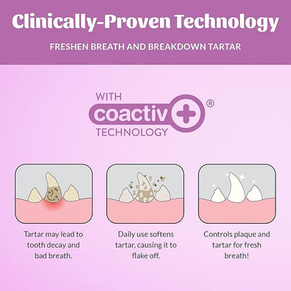 SKOUT'S HONOR Fresher Breath Dental Wipes- Pet Dental Wipes - Fights Plaque and Tartar, Freshens Breath Fast, No Brushing Required, 50 Sheets