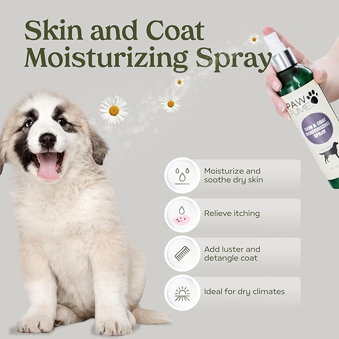 Pawfume Dog Gift Basket, 6-Piece Box  Give Your Pup a Spa-Quality Coat & Odor-Free Freshness  Probiotic Deodorizer Spray, Hypoallergenic Grooming Mist & Premium Brush  Dog Gift Boxes for All Breeds