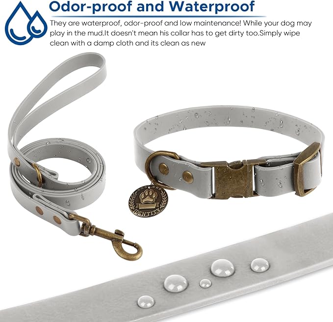 Wisedog Dog Collar and Leash Set, Waterproof Adjustable Puppy Collars with Cute Tag 6FT Dog Leash with Poop Bag for Small Medium Large Dogs (S(Collar:10"-14";Leash:4 ft), Grey)