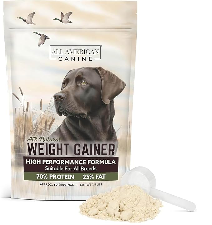 Dog Weight Gainer  High Calorie Dog Food Supplement & Protein Powder for Rapid Weight Gain, Mass, and Recovery  Appetite Stimulant  60 Servings