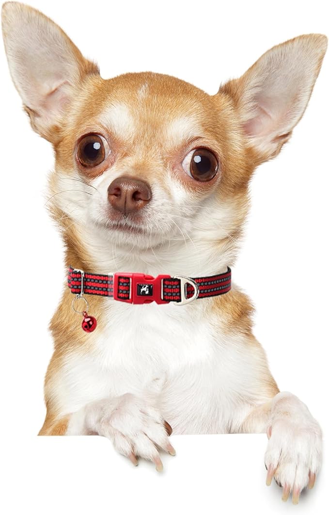 Adjustable Puppy Collar with Bell - Reflective Nylon Dog Collar for Small Breeds, Chihuahua Pomeranian, Nighttime Safety, Gift for Dog Lovers (Red, XS)