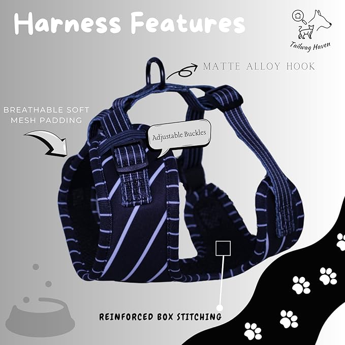 Dog Harness and Leash Set, No Pull Adjustable Soft Padded Vest, No Choke (Medium, White Stripe)