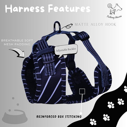 Dog Harness and Leash Set, No Pull Adjustable Soft Padded Vest, No Choke (Small, White Stripe)