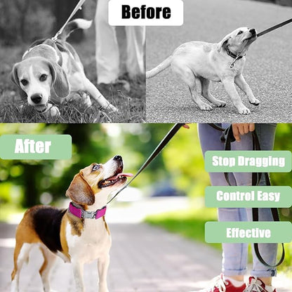 Adjustable Basic Collar with Quick Release Buckle for Small Medium Large Dogs