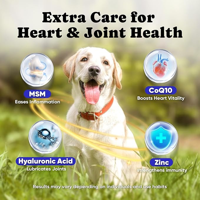 Wild Alaskan Salmon Oil for Dogs & Cats – Fast-Absorbing Fish Oil for Dogs with Krill Oil, Omega 3 6 9 Fish Oil Supplement from 8 Deep Sea Fishs for Skin, Coat, Joints & Heart -16oz (90 Day Supply)