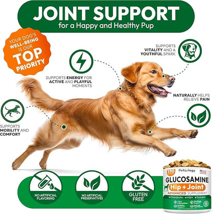 (2 Pack) Glucosamine for Dogs - 340 Mobility Chews - Advanced Hip and Joint Supplement for Dogs - Glucosamine Chondroitin - MSM - Joint Pain Relief - Made in USA