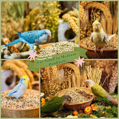 Premium Parrot Food| Protein-Rich Low-Fat Formula | Cockatiel, Conure, Lovebird, Quaker, Parrotlet | No Corn, Soy, Peanuts | Gourmet Whole Grains & Seeds | Daily Maintenance Blend (3 lbs)