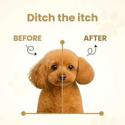 Hypoallergenic | Oatmeal & Honey Liquid Dog Shampoo| Extra Gentle for Even Puppies| Unscented