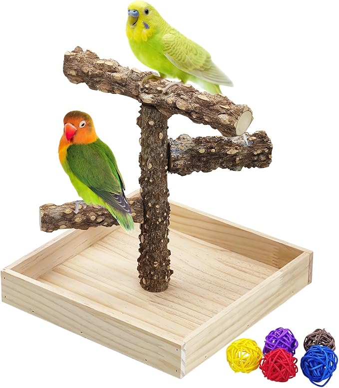 BNOSDM Portable Bird Perch Stand with Potty Tray, Natural Wood Tabletop Training Gym Parrot Playground Toy for Budgies, Cockatiels, Lovebirds,Conures Canaries