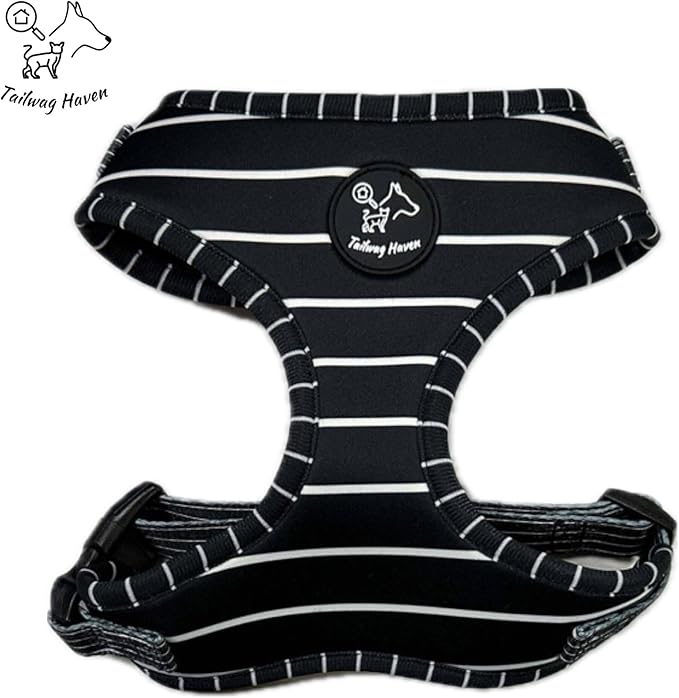 Dog Harness and Leash Set, No Pull Adjustable Soft Padded Vest, No Choke (Small, White Stripe)