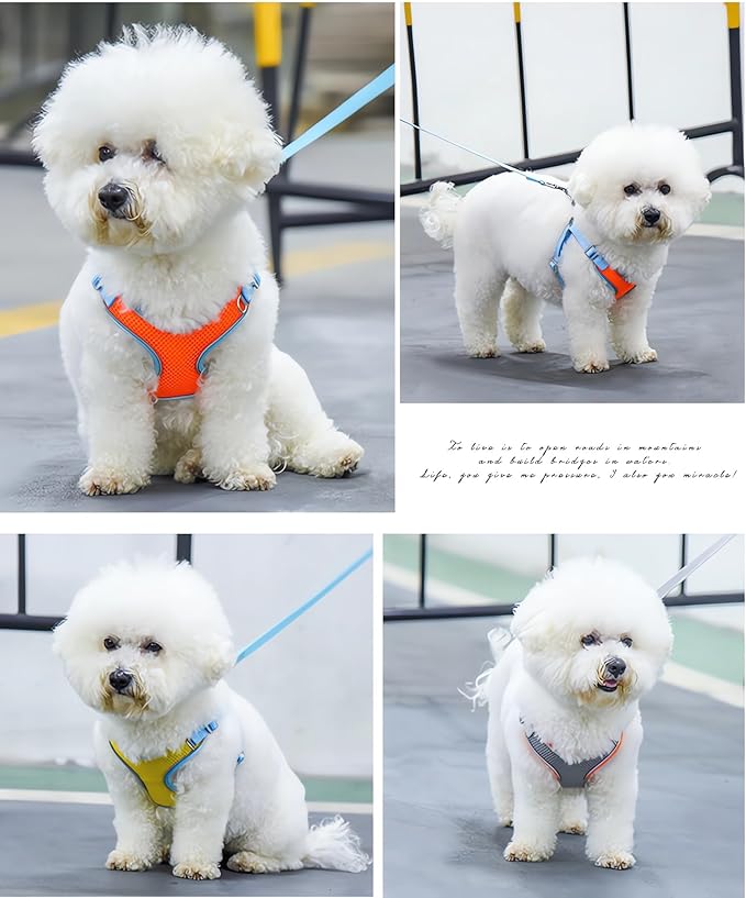 Dog Harness with Leash Set, No Pull Adjustable Reflective Step-in Puppy Harness with Thickened Padded Vest for Extra-Small/Small Medium Large Dogs and Cats (Grey, L)