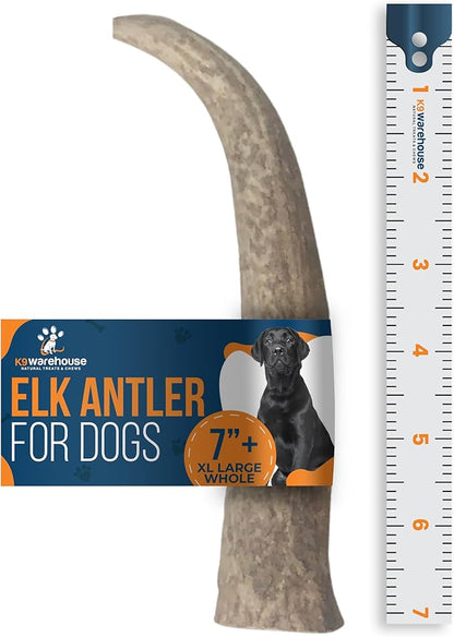 Elk Antlers for Dogs - Dog Antlers for Aggressive Chewers - USA Sourced Elk Antler for Dogs to Promote Oral Health - Long Lasting Antler Chews for Small, Medium, Large & XLarge Dogs