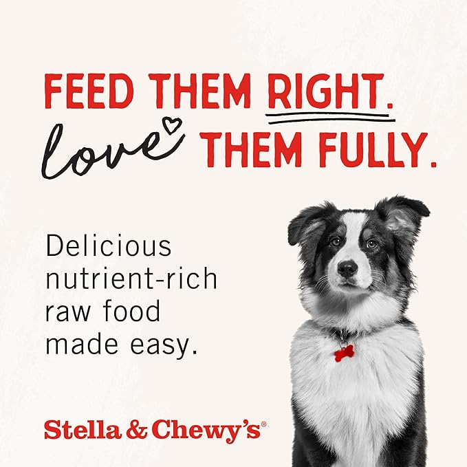 Stella & Chewy's Freeze Dried Raw Purely Pork Meal Mixer  Dog Food Topper for Small & Large Breeds  Grain Free, Protein Rich Recipe  18 oz Bag