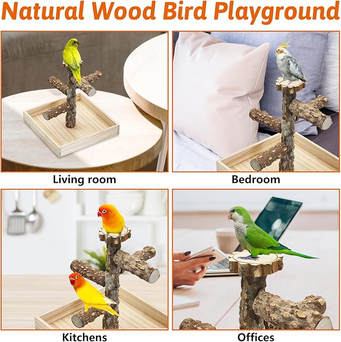 BNOSDM Portable Bird Perch Stand with Potty Tray, Natural Wood Tabletop Training Gym Parrot Playground Toy for Budgies, Cockatiels, Lovebirds,Conures Canaries