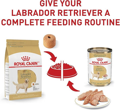 Royal Canin Breed Health Nutrition Labrador Retriever Adult Dry Dog Food, 17 lb Bag