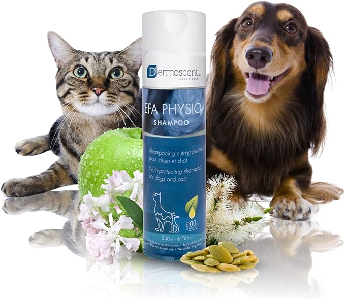 Dermoscent EFA Physio Shampoo for Dogs & Cats - Gentle Natural Ingredients for Frequent Bathing Allergies & Itchy Skin Relief - Soothes Dermatitis & Atopic Skin - 200 ml