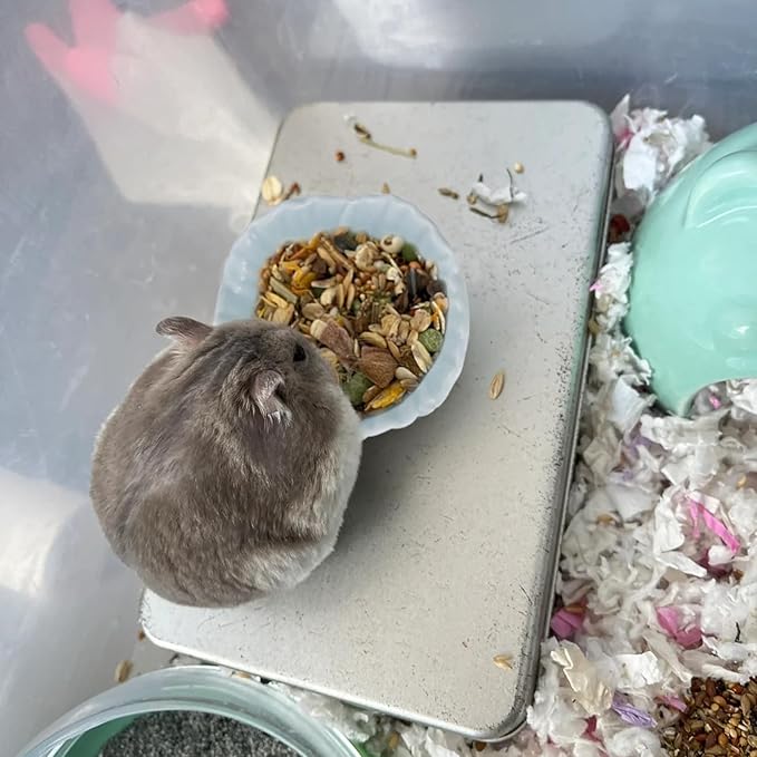 Small Ceramic Pet Hamster Bowl, Easy to Clean Anti Flipping Hamsters Food and Water Bowl, Small Animal Bowls for Dwarf Hamster, Parrots (Green, s)