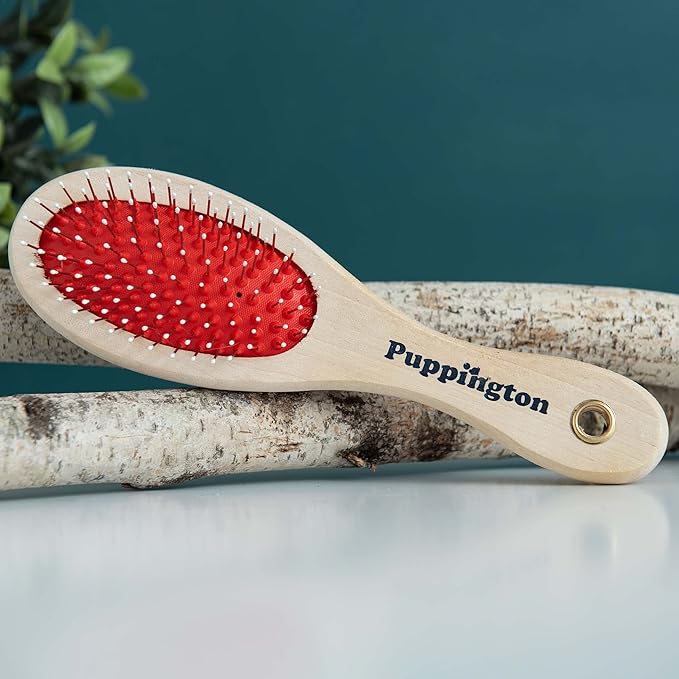 2-in-1 Dog Grooming Brush and Deshedding Stone Dog Hair Remover for Short Haired and Long Haired Dogs