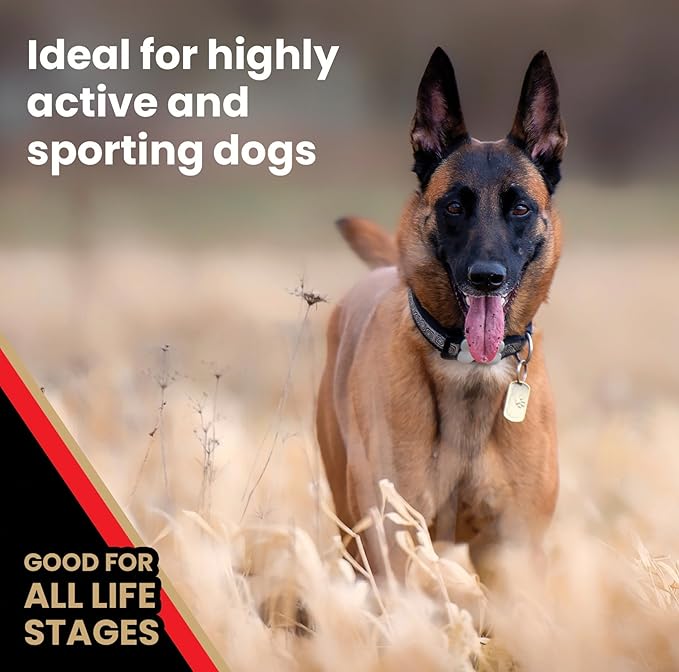 Victor Super Premium Dog Food  High Energy Dry Dog Food for Active Dogs  Gluten Free Dog Food with Beef and Chicken Meal Proteins for Sporting Dogs  All Breeds and All Life Stages, 15 Lb