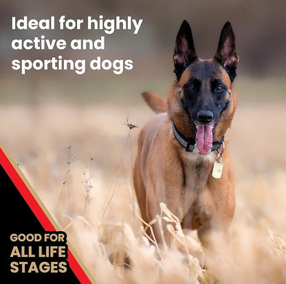 Victor Super Premium Dog Food  High Energy Dry Dog Food for Active Dogs  Gluten Free Dog Food with Beef and Chicken Meal Proteins for Sporting Dogs  All Breeds and All Life Stages, 15 Lb