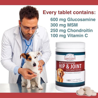 Lloyd & Lucy's Hip and Joint Supplement for Dogs - Chewable Multivitamin with Glucosamine, Chondroitin, MSM and Vitamin C - Healthy Liver Flavored Treat Pets Will Love - 180 Ct Tablets