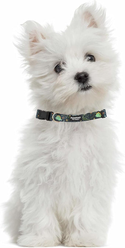 Downtown Pet Supply - Best, Cute & Fancy Dog Collar - Lightweight Adjustable Dog Collar with Quick Buckle & D-Ring - Hand Wash Safe - Dino - M - Medium Dog Collar