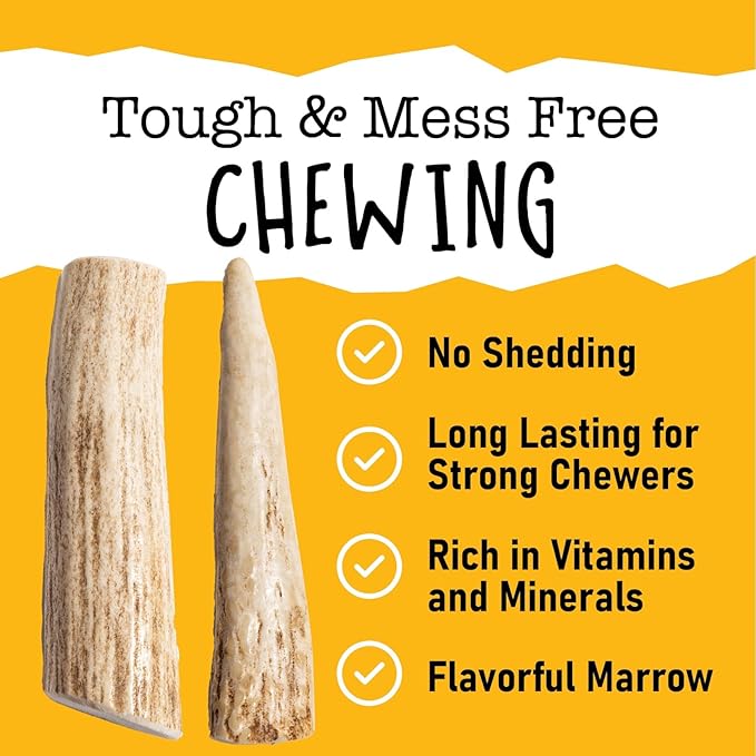 Snatchers Whole Elk Antlers for Mild to Aggressive Chewers  Durable, Naturally Shed Antlers for Dogs Processed in the USA with No Additives  Vitamin-Rich Dog Treats for Fun & Health (Medium 1 Count)