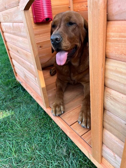 Akoma Hound Heater Dog House Heater, Outdoor Pet Furnace 400w - for Most Dog Houses (400W - WiFi - Camera)