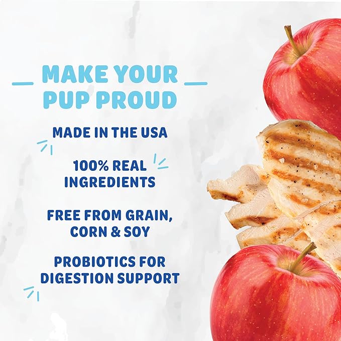 Shameless Pets Dental Treats for Dogs, A Cluck A Day (32 Sticks) - Dental Sticks with Digestive Support for Teeth Cleaning & Fresh Breath - Dog Bones Dental Chews Free from Grain, Corn & Soy