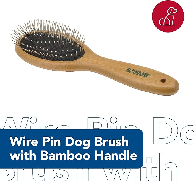 Coastal Pet Safari Wire Pin Dog Brush with Bamboo Handle - Large - General Dog Grooming Brush for Short and Long Hair - Eco-Friendly Handle